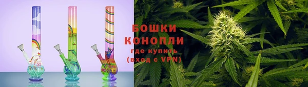 гидра Бородино