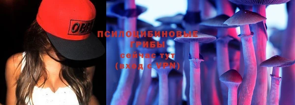 гидра Бородино