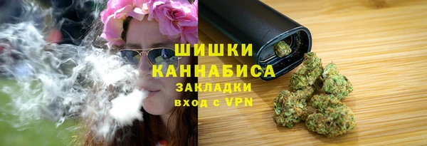 гидра Бородино
