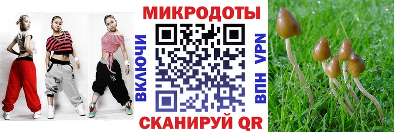 Галлюциногенные грибы GOLDEN TEACHER  ОМГ ОМГ зеркало  Юрюзань 